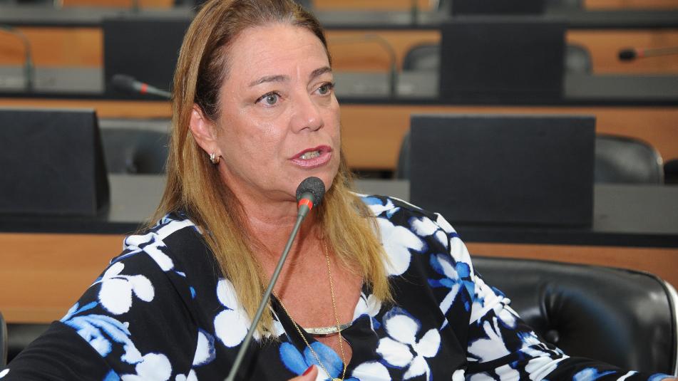 fabiola mansur foto